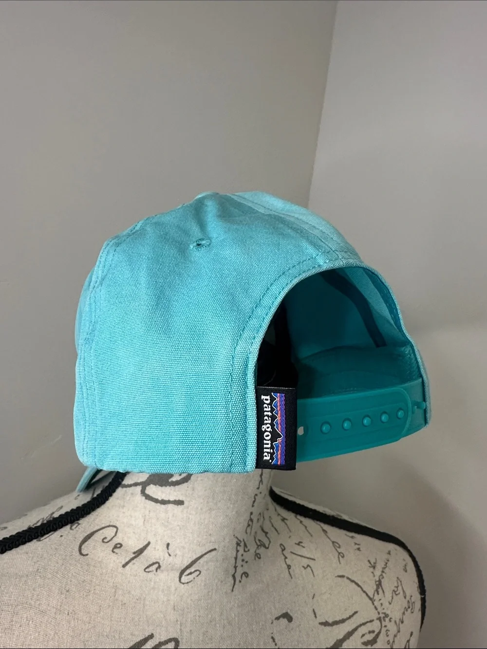 Patagonia White & Aqua Blue Trucker Cap with Mountain Patch